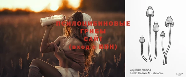 прущий лед Липки