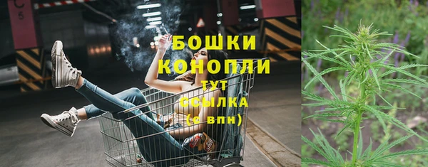 эйфоретик Магас