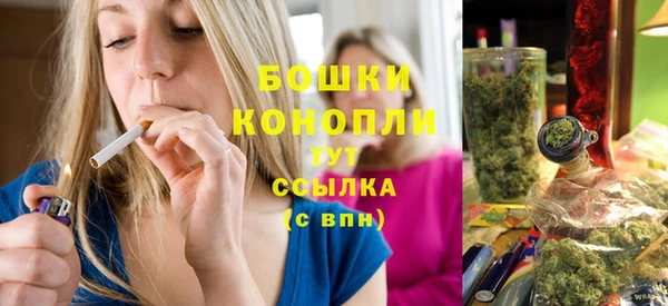 spice Лиски