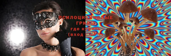 молекула духа Магадан