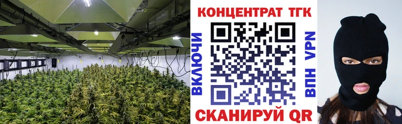 Дистиллят ТГК концентрат  Стародуб 